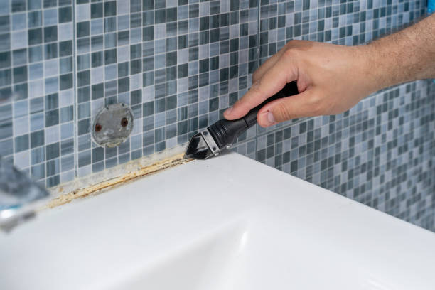 Mold Testing and Removal in Beech Island, SC